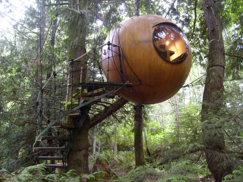 Illustration for article titled These Are The Most Amazing Tree Houses Ever